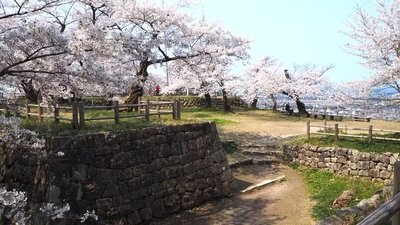 🏯 무라카미 성터 (무라카미죠시) 이미지 2